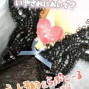 ヒメ日記 2025/12/19 13:24 投稿 海南（かな） 丸妻 錦糸町店