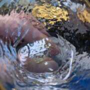 ヒメ日記 2026/01/01 22:28 投稿 海南（かな） 丸妻 錦糸町店