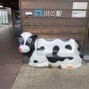 ヒメ日記 2026/01/17 15:54 投稿 海南（かな） 丸妻 錦糸町店