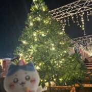 ねお たいきちう🌧 秋葉原鑑賞ガール