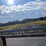 ヒメ日記 2025/11/10 09:28 投稿 さりな 成田富里インターちゃんこ