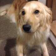 ヒメ日記 2025/10/18 07:16 投稿 こと ごほうびSPA千葉店