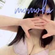 ヒメ日記 2025/10/08 16:16 投稿 ももか ごほうびSPA千葉店