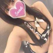 ヒメ日記 2026/02/15 06:56 投稿 ももか ごほうびSPA千葉店