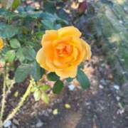 ヒメ日記 2025/11/19 23:30 投稿 松田るな 渋谷エオス