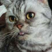 ヒメ日記 2025/10/05 13:46 投稿 道明寺みれい 五十路マダムエクスプレス豊橋店（カサブランカグループ）