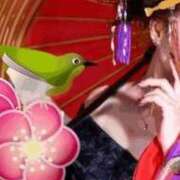 ヒメ日記 2025/11/08 08:18 投稿 道明寺みれい 五十路マダムエクスプレス豊橋店（カサブランカグループ）