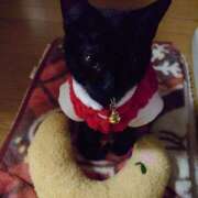 ヒメ日記 2026/04/06 10:40 投稿 道明寺みれい 五十路マダムエクスプレス豊橋店（カサブランカグループ）