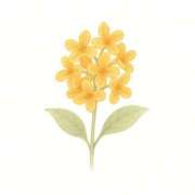 ヒメ日記 2026/01/08 23:01 投稿 うみ 水戸ソープランド　水戸スリーナイン(9990)