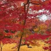 ヒメ日記 2025/11/26 17:57 投稿 しゅしゅ ばつぐん素人プロダクション