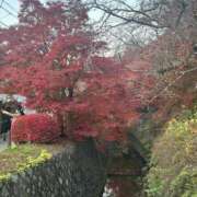 しゅしゅ 紅葉見に行ったよ🍁 ばつぐん素人プロダクション