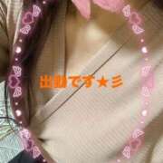 ヒメ日記 2026/01/28 10:58 投稿 入口可奈子 五十路マダム 徳島店