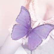 ヒメ日記 2026/02/02 11:12 投稿 入口可奈子 五十路マダム 徳島店