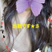 ヒメ日記 2026/02/07 11:08 投稿 入口可奈子 五十路マダム 徳島店