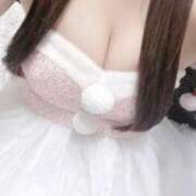 ヒメ日記 2025/11/22 17:03 投稿 パティシエ・レイ にゃんだ☆full☆MIX（にゃんだふるみっくす）