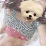 ヒメ日記 2025/10/08 03:22 投稿 リエナ(奥方) 奥様幕府