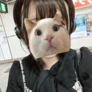 ヒメ日記 2025/10/04 10:21 投稿 しーな 日暮里・西日暮里サンキュー