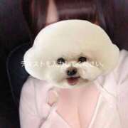 ヒメ日記 2025/10/20 10:51 投稿 しーな 日暮里・西日暮里サンキュー