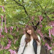 ヒメ日記 2026/03/30 16:56 投稿 神楽るん ぐっすり山田　池袋店