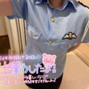 ヒメ日記 2025/12/19 08:06 投稿 みなみ 横浜ひよこ倶楽部