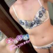 ヒメ日記 2026/05/01 08:16 投稿 みなみ 横浜ひよこ倶楽部