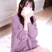 ヒメ日記 2025/11/03 23:34 投稿 Noa CELEB（セレブ）