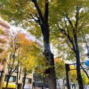 ヒメ日記 2025/11/23 16:06 投稿 そよ ぐっすり山田　池袋店