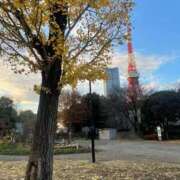 ヒメ日記 2025/12/19 12:46 投稿 そよ ぐっすり山田　池袋店