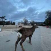 ヒメ日記 2026/01/25 19:16 投稿 そよ ぐっすり山田　池袋店