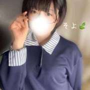 ヒメ日記 2026/01/30 08:56 投稿 そよ ぐっすり山田　池袋店