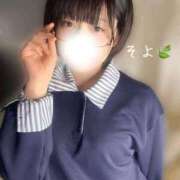 ヒメ日記 2026/02/19 18:47 投稿 そよ ぐっすり山田　池袋店