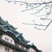 ヒメ日記 2026/03/25 07:46 投稿 そよ ぐっすり山田　池袋店