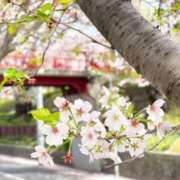 ヒメ日記 2026/04/06 22:46 投稿 そよ ぐっすり山田　池袋店