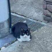 みな ❤️✨本日初出勤✨❤️ 熟女総本店 日本橋ミナミエリア店