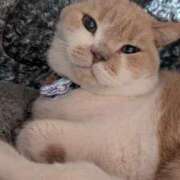 ヒメ日記 2026/01/27 18:23 投稿 なつ ギン妻パラダイス 和歌山店