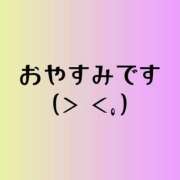 ヒメ日記 2026/02/19 14:00 投稿 なつ ギン妻パラダイス 和歌山店