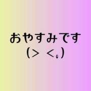 ヒメ日記 2026/04/11 17:49 投稿 なつ ギン妻パラダイス 和歌山店