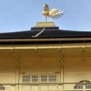 夢川莉乃 おはようございます^_^ 五十路マダム愛されたい熟女たち岡山店（カサブランカグループ）