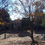 みかさ 今年も残りわずか…❣️ 錦糸町人妻セレブリティ（ユメオト）