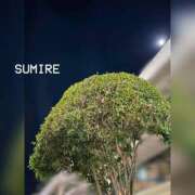 ヒメ日記 2025/10/09 06:01 投稿 スミレ ラブコレクション