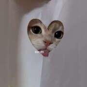 ヒメ日記 2026/04/05 09:16 投稿 スミレ ラブコレクション