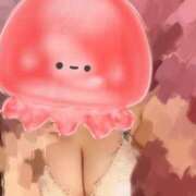 ヒメ日記 2025/11/14 11:03 投稿 りぜ ハッピーハウス