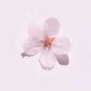 ヒメ日記 2026/04/08 14:31 投稿 なみ 熟女の風俗最終章 宇都宮店