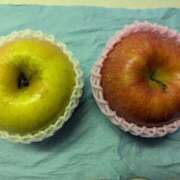 ヒメ日記 2025/11/20 18:45 投稿 大島かおり 熟女パラダイス京都店（カサブランカグループ）