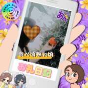 ヒメ日記 2025/11/14 18:59 投稿 あん モアグループ小山人妻花壇