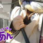 ヒメ日記 2026/01/14 16:20 投稿 あん モアグループ小山人妻花壇