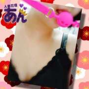 ヒメ日記 2026/03/17 12:36 投稿 あん モアグループ小山人妻花壇