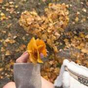 ありな 17時まで❣️ ぐっすり山田　名古屋店