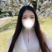 ヒメ日記 2026/04/03 18:25 投稿 あこ ぐっすり山田　名古屋店