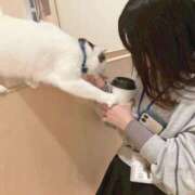 ヒメ日記 2026/02/16 21:50 投稿 める ぐっすり山田　名古屋店